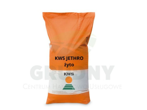 Żyto hybrydowe KWS Jethro Żyto hybrydowe KWS Jethro