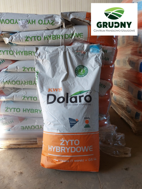 ŻYTO OZIME KWS DOLARO ŻYTO OZIME KWS DOLARO
